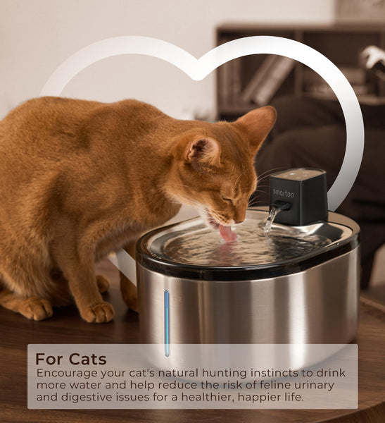 Smartoo Cat Water Fountain - 152oz, Battery Operated, Motion Sensor, Quiet