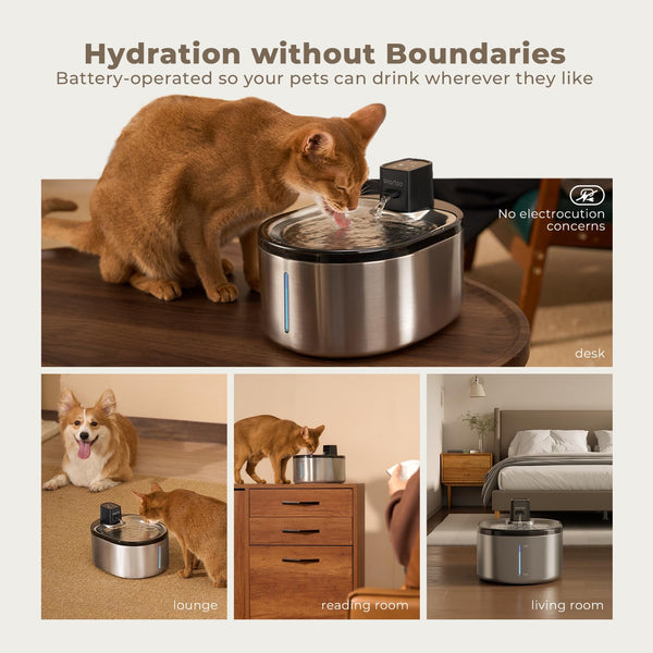 Smartoo Cat Water Fountain - 152oz, Battery Operated, Motion Sensor, Quiet