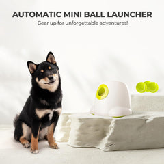 ALL FOR PAWS Dog Ball Launcher - Interactive Toy, Mental Stimulation, Small/Medium Dogs