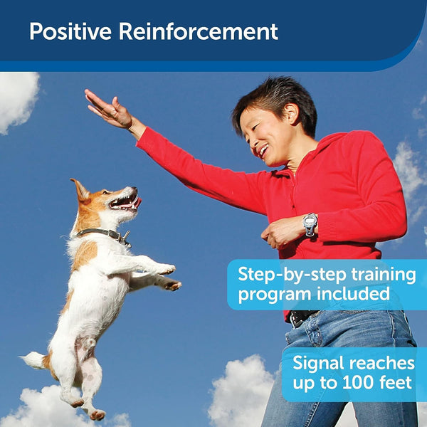 Treat&Train - Remote Dog Training, Positive Reinforcement, Calm Behavior