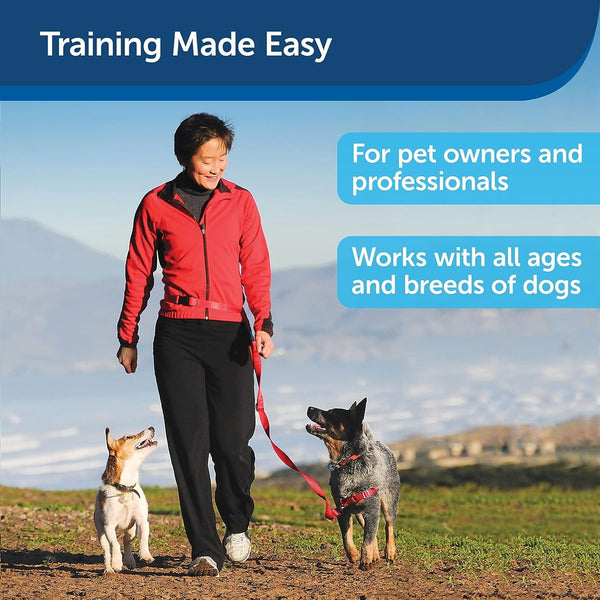 Treat&Train - Remote Dog Training, Positive Reinforcement, Calm Behavior